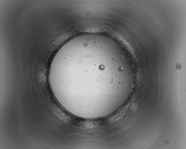 X0000100330305200806051540