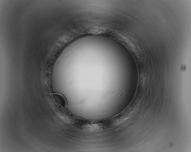 X0000100330307200806051540