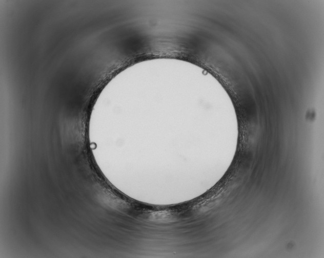 X0000100330309200806051540