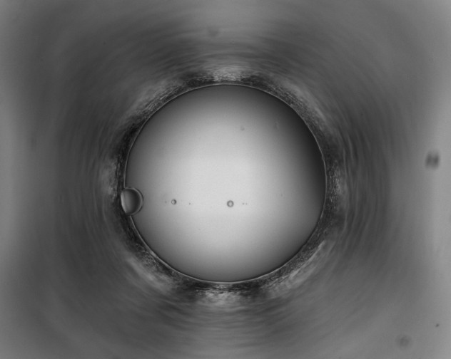 X0000100330311200806051540