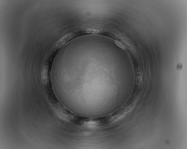 X0000100330312200806051540