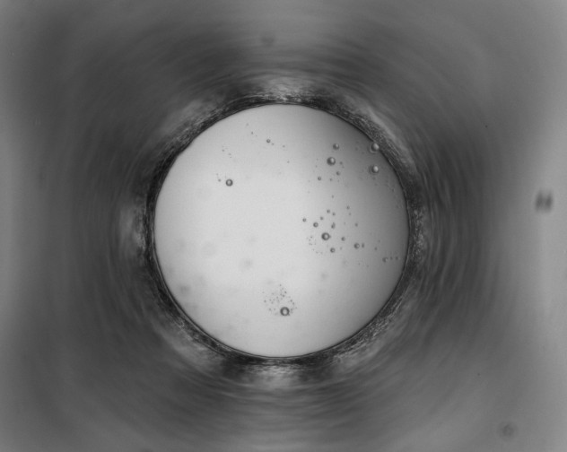 X0000100330313200806051540