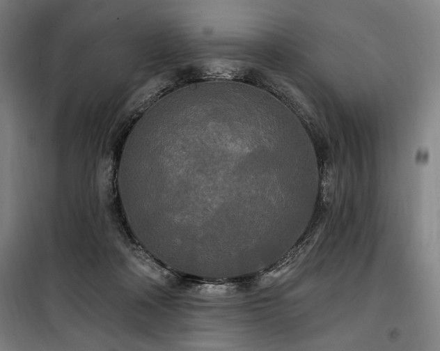 X0000100330314200806051540