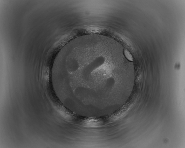 X0000100330315200806051540