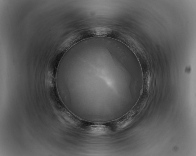 X0000100330316200806051540