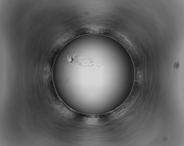 X0000100330318200806051540