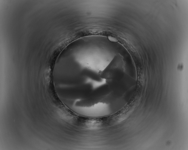 X0000100330319200806051540