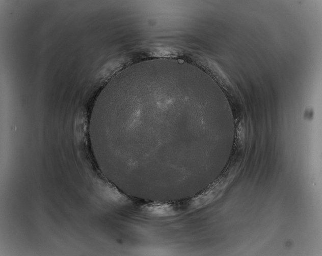 X0000100330322200806051540