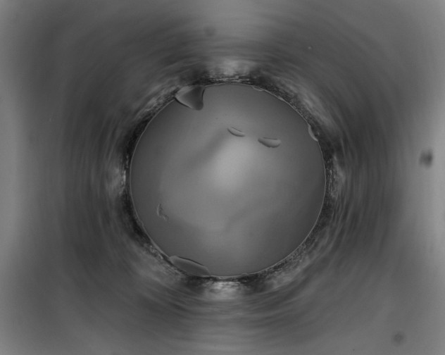 X0000100330324200806051540