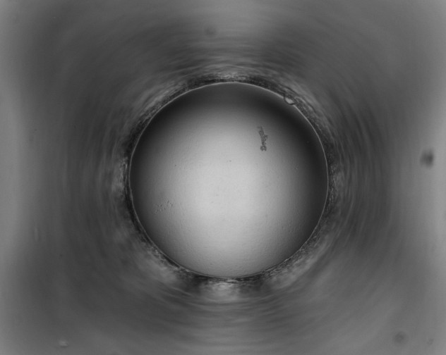 X0000100330325200806051540