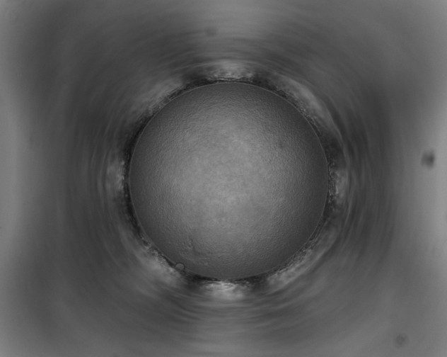 X0000100330326200806051540