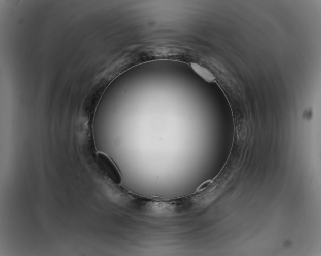 X0000100330327200806051540