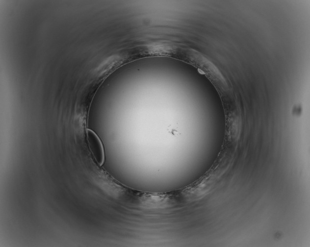 X0000100330329200806051540