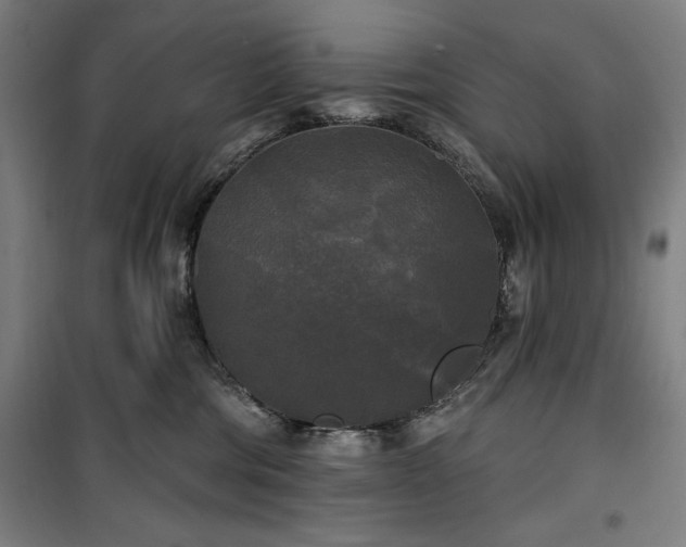 X0000100330330200806051540