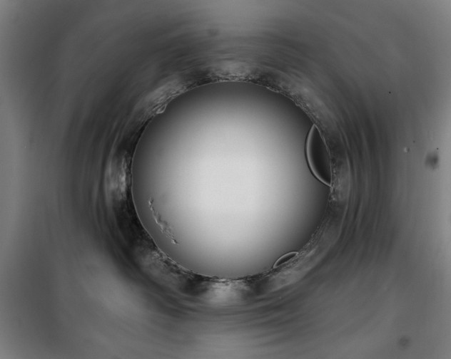 X0000100330334200806051540