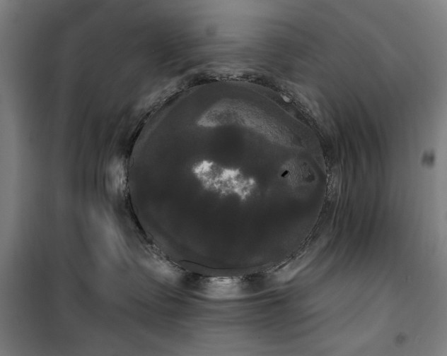 X0000100330335200806051540