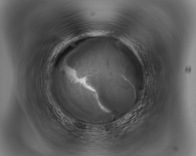 X0000100330337200806051539