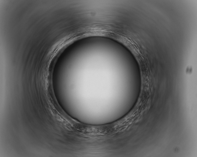 X0000100330338200806051539