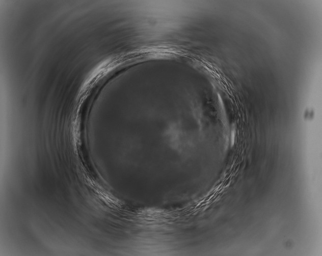 X0000100330339200806051539