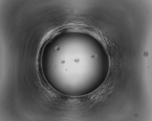 X0000100330340200806051539