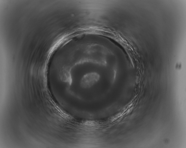 X0000100330341200806051539