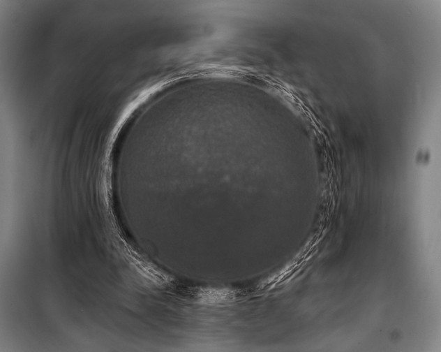 X0000100330342200806051539