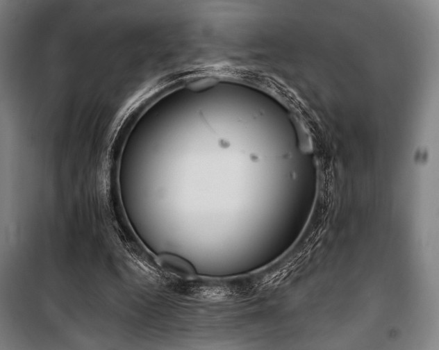 X0000100330344200806051539