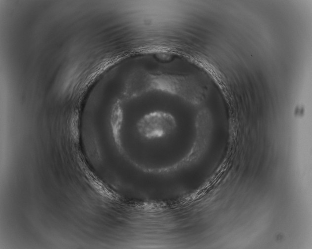 X0000100330345200806051539