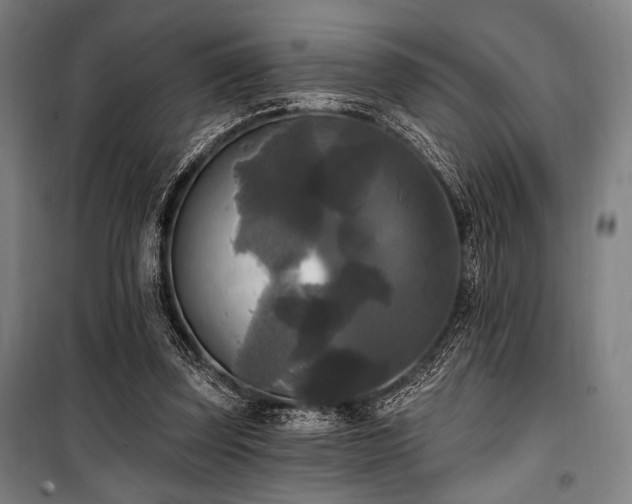 X0000100330347200806051539