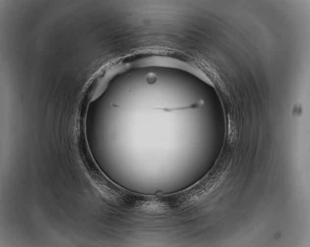 X0000100330348200806051539