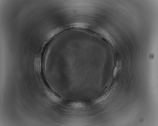 X0000100330349200806051539