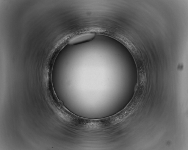 X0000100330350200806051539