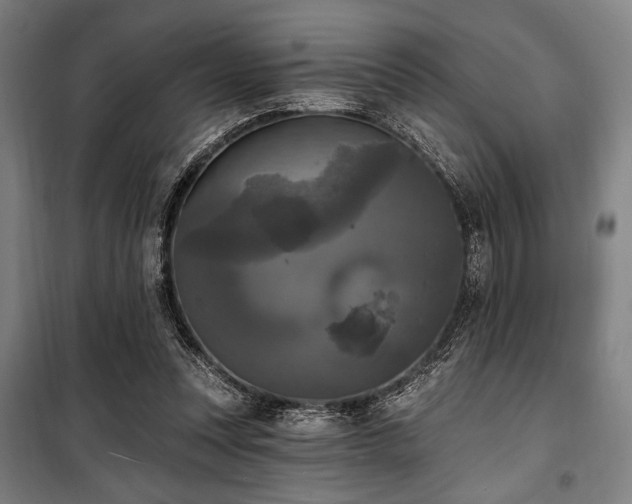 X0000100330351200806051539