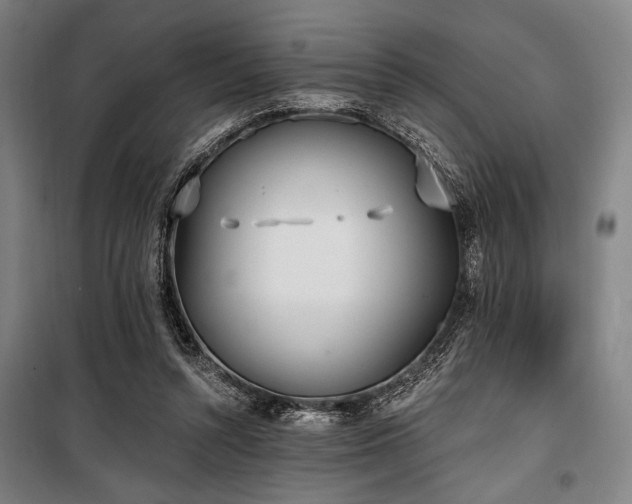 X0000100330352200806051539