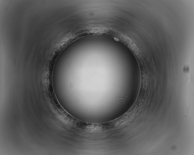 X0000100330354200806051539