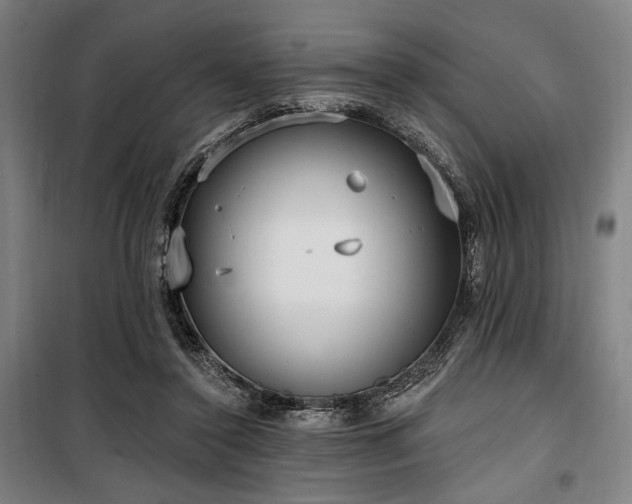 X0000100330356200806051539