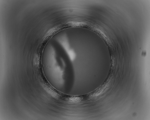 X0000100330357200806051539