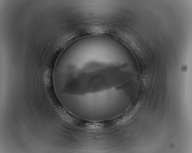 X0000100330359200806051539