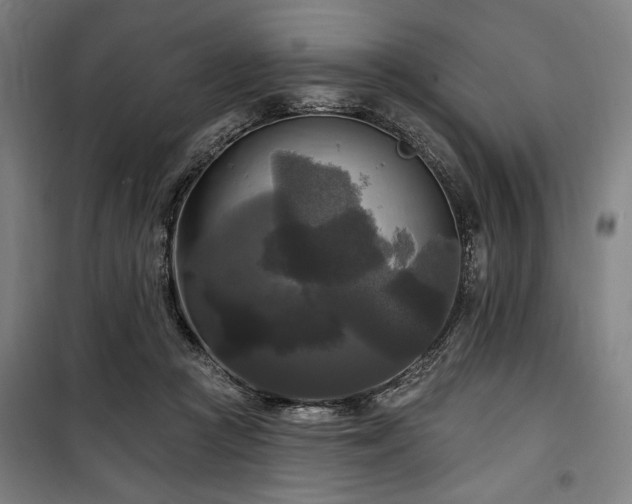 X0000100330361200806051539