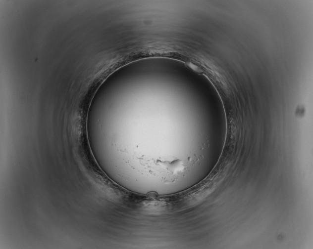 X0000100330362200806051539