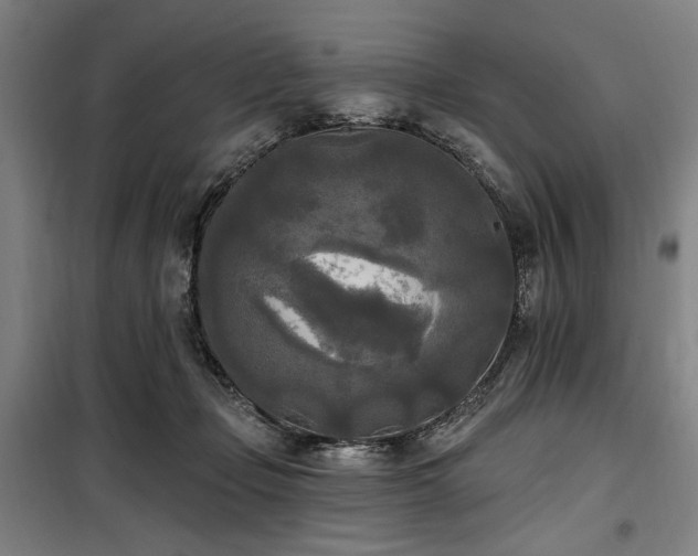 X0000100330365200806051540