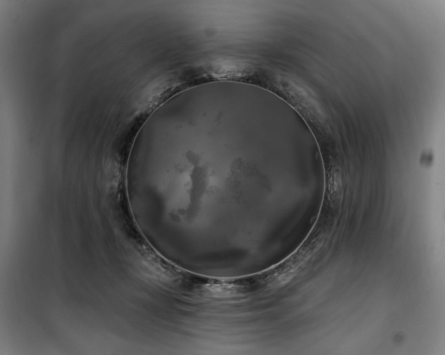 X0000100330367200806051540