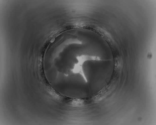 X0000100330369200806051540