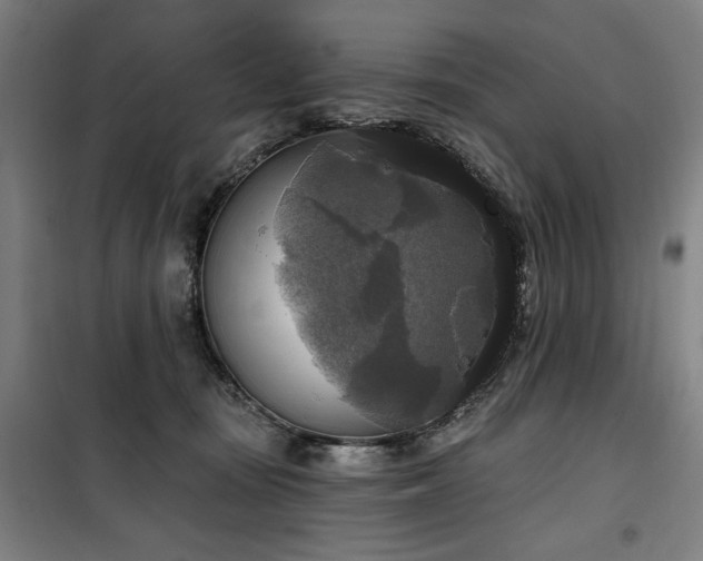 X0000100330371200806051540