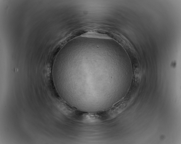 X0000100330372200806051540