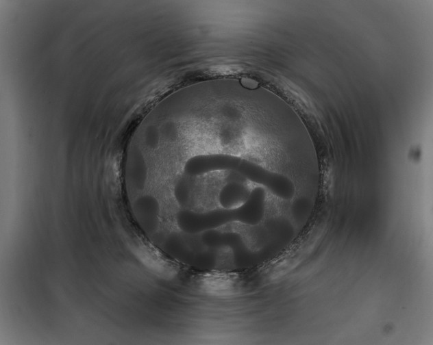 X0000100330373200806051540