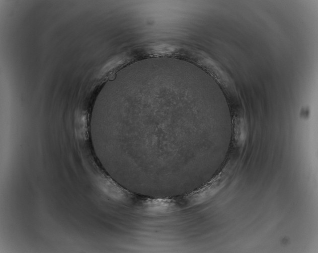 X0000100330378200806051540