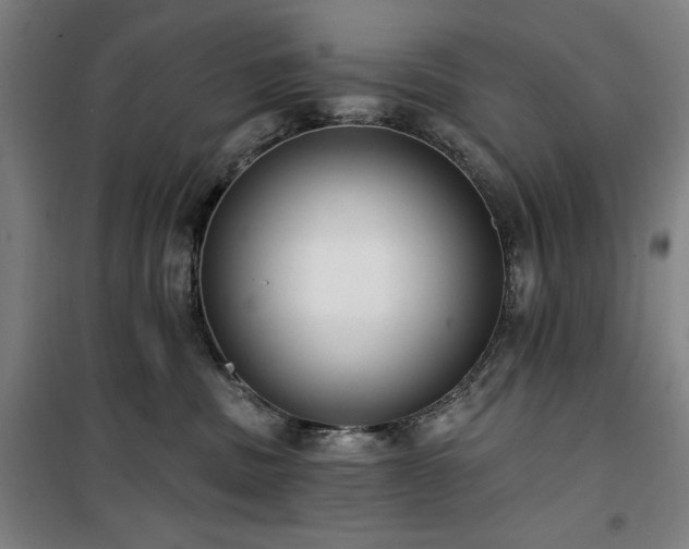 X0000100330379200806051540