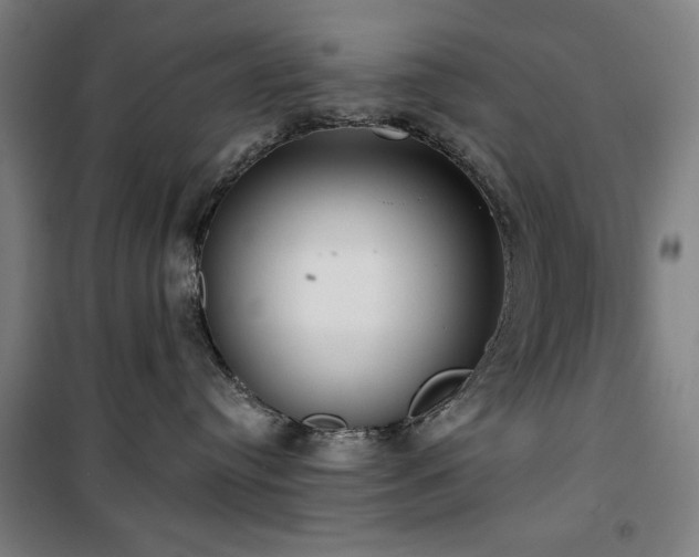 X0000100330384200806051540