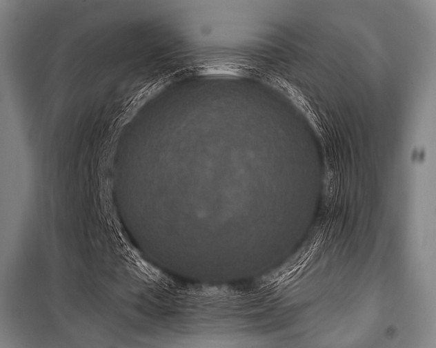 X0000100330385200806051539